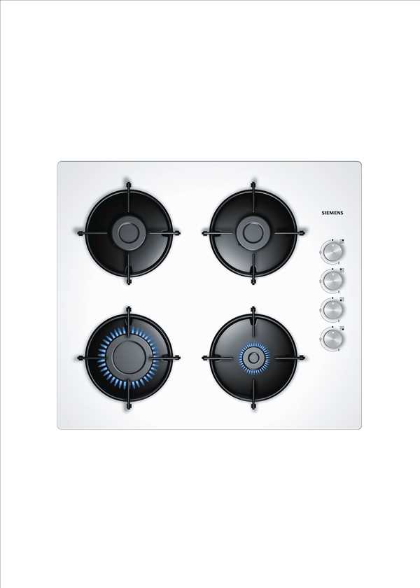 İQ 101 Siemens Cooker